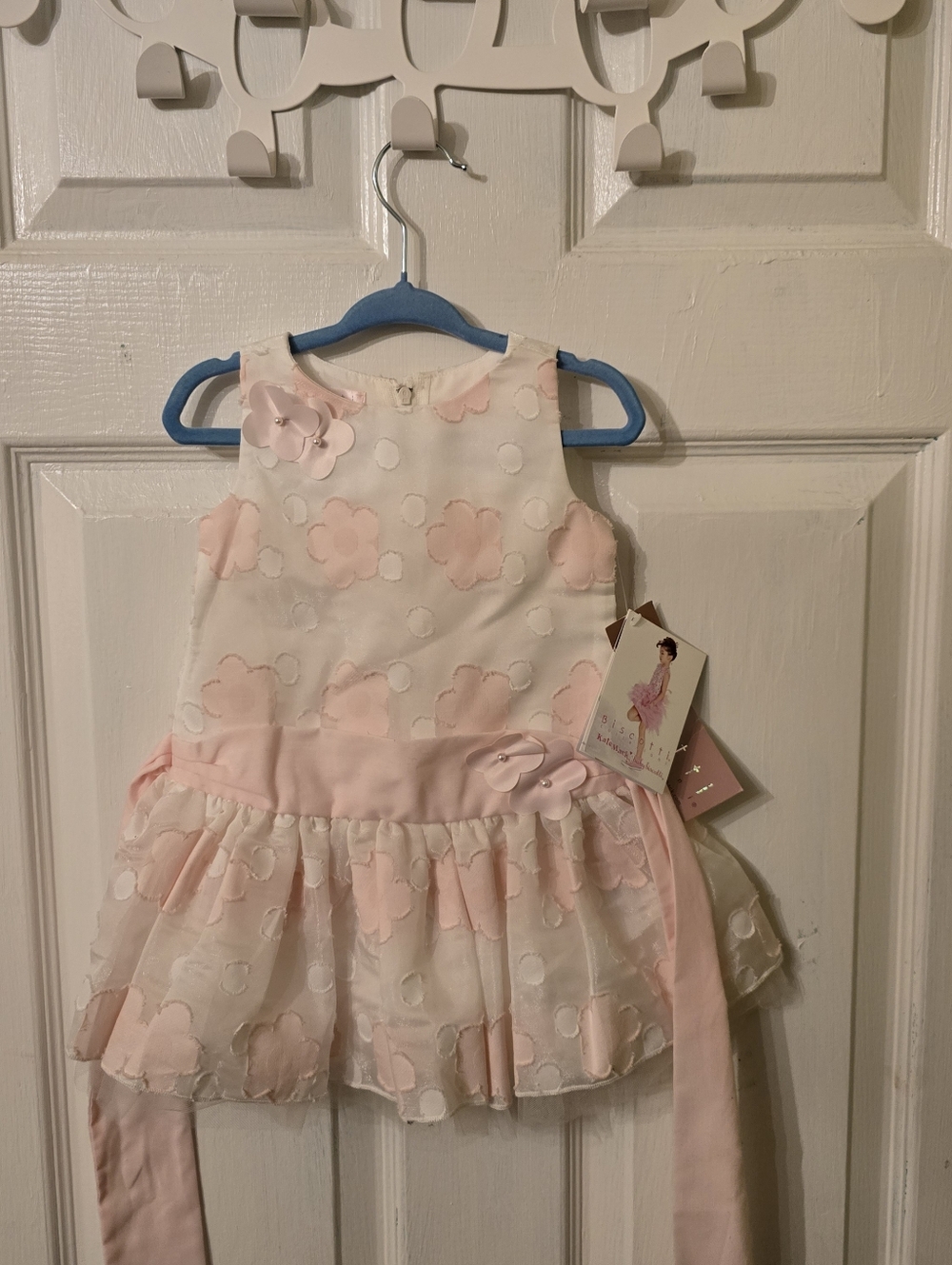 Biscotti Pale Pink Floral Satin Baby Dress